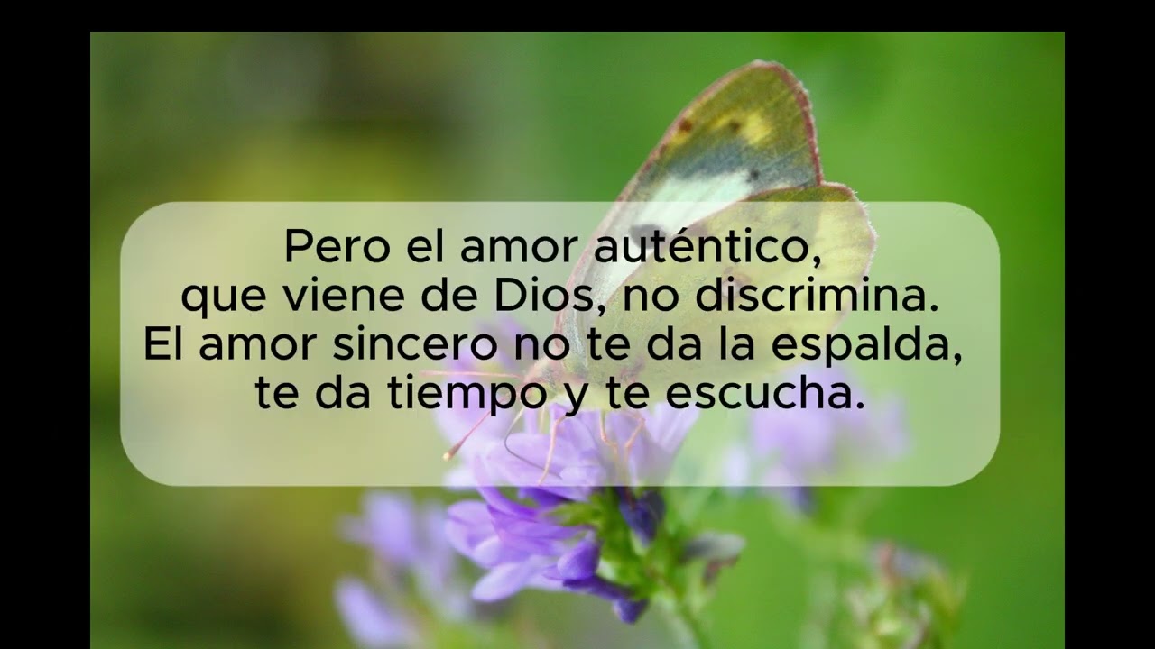 el amor sincero