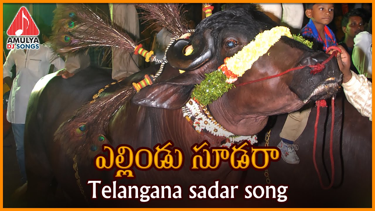 Yellindu Sudara Telangana Song | Sadar Special | Telugu Private Album | Amulya DJ Songs