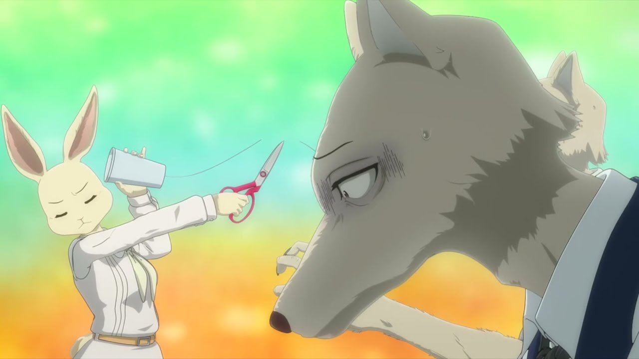 Legoshi le propone matrimonio a Haru (Parte 1) - Beastars Temporada 2 (Doblaje latino)