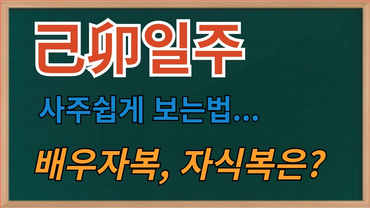 기묘일주 --배우자복, 자식복 간단히 보기--사주보는법