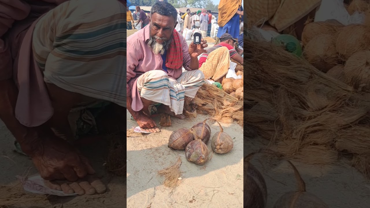 Village coconut market