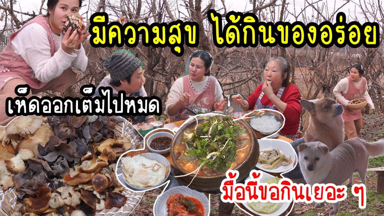 EP.835 แปลกมาก !! ปีนี้เห็ดออกเต็มไปหมด  เอามาทำเมนูนี้ที่ชอบ บอกเลยว่าเปลืองข้าวสุด ๆ ต้มเทนจัง🤩