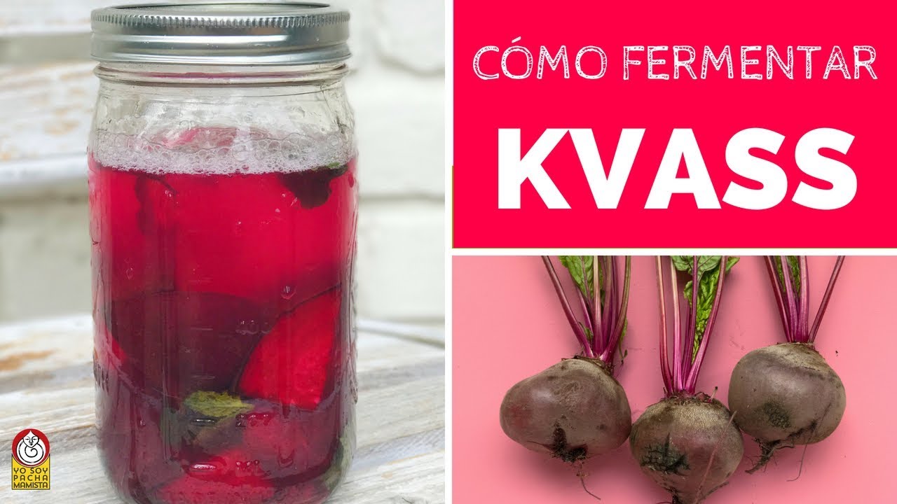 Cómo hacer una BEBIDA PROBIÓTICA con la remolacha (betabel)