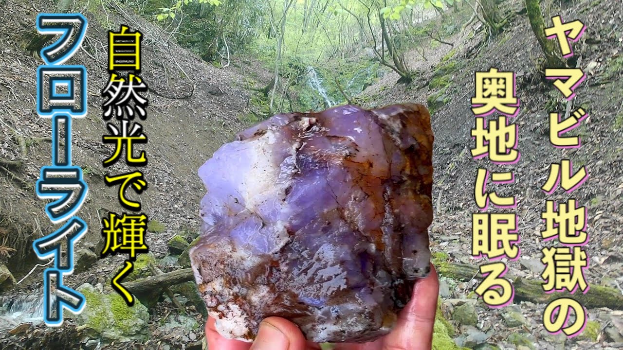 鉱物採集　ヤマビル地獄の奥地に眠る、太陽光で強蛍光する蛍石を求めて