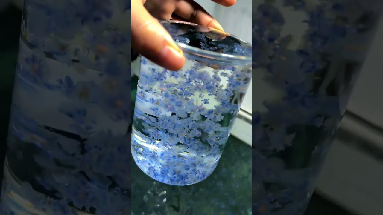 Monitoring #jellyfishtank #species