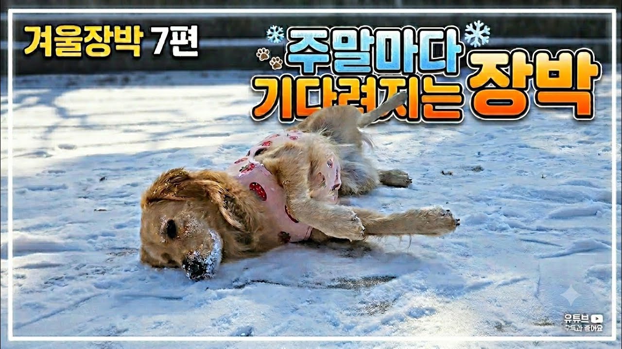 장박 7편 주말마다 기다려지는 장박생활