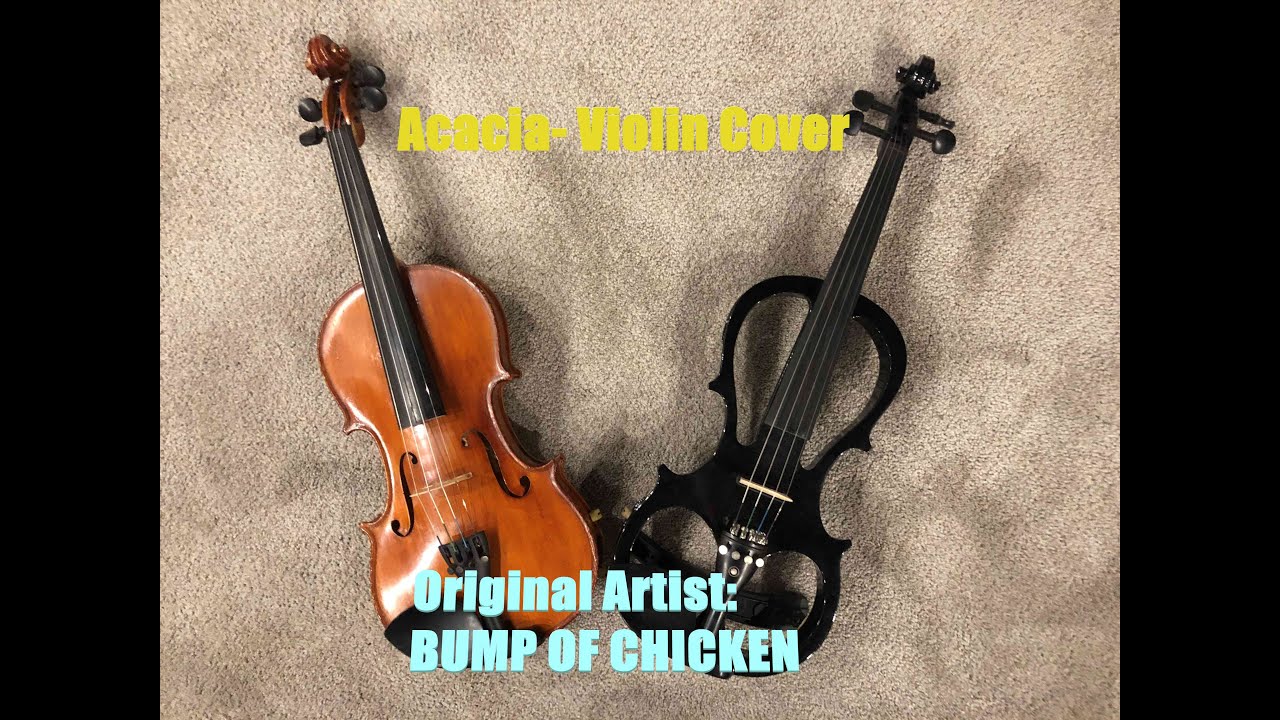 Acacia (BUMP OF CHICKEN)- Violin Cover