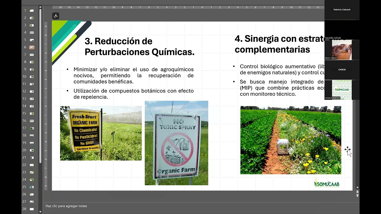 Técnicas Agroecológicas para el reclutamiento de enemigos naturales   Dra  Nadia Salomé Gómez Domíng