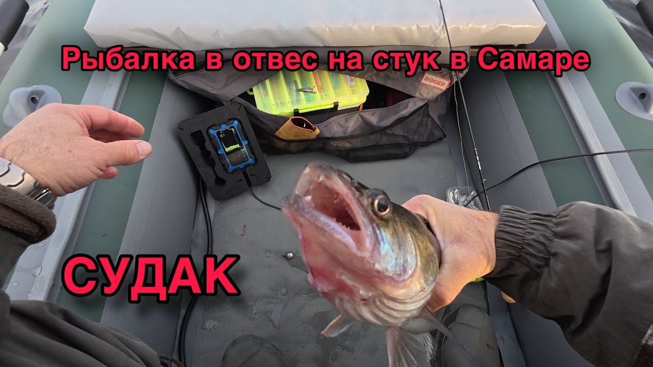 РЫБАЛКА В ОТВЕС НА СТУК В САМАРЕ. БЁРШ, СУДАК. ВОЛГА. НОЯБРЬ 2025