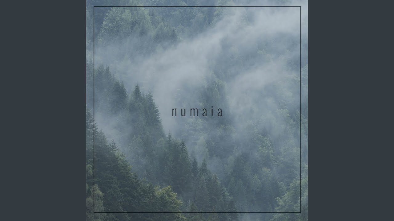Numaia