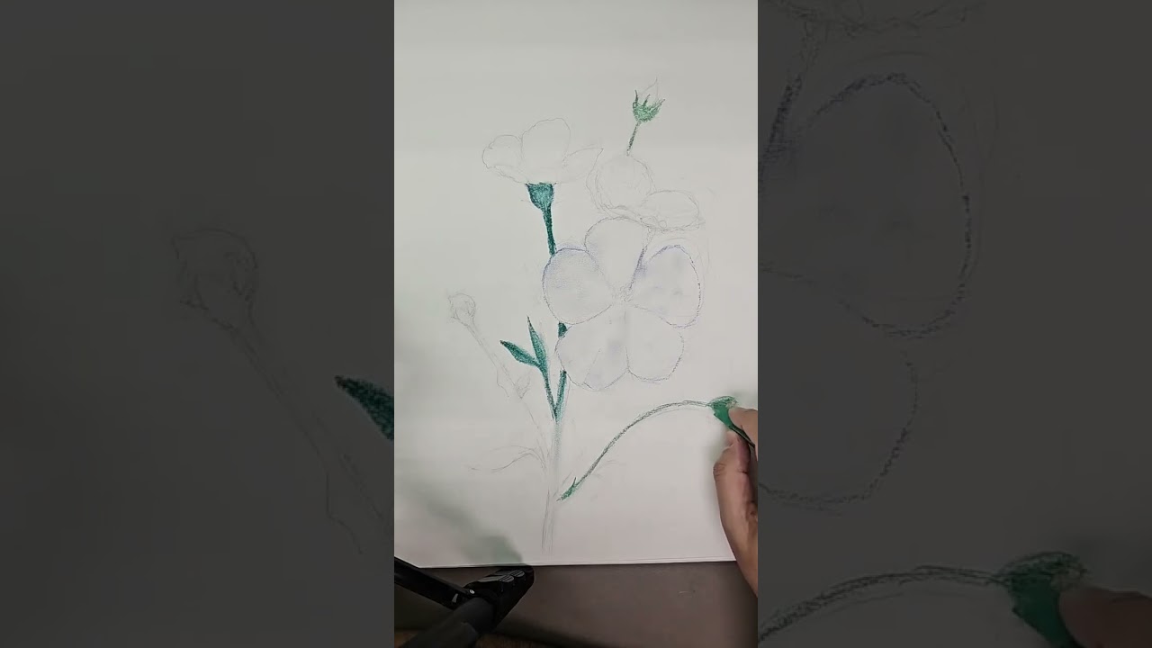 Drawing wildflowers with pastels on paper 