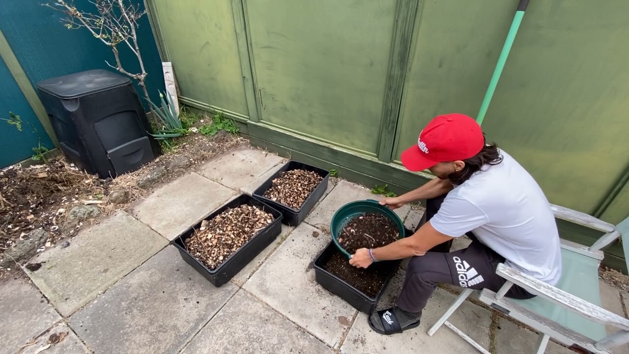 Feed the Soil and Plants will Grow - #153 Daily In the Garden