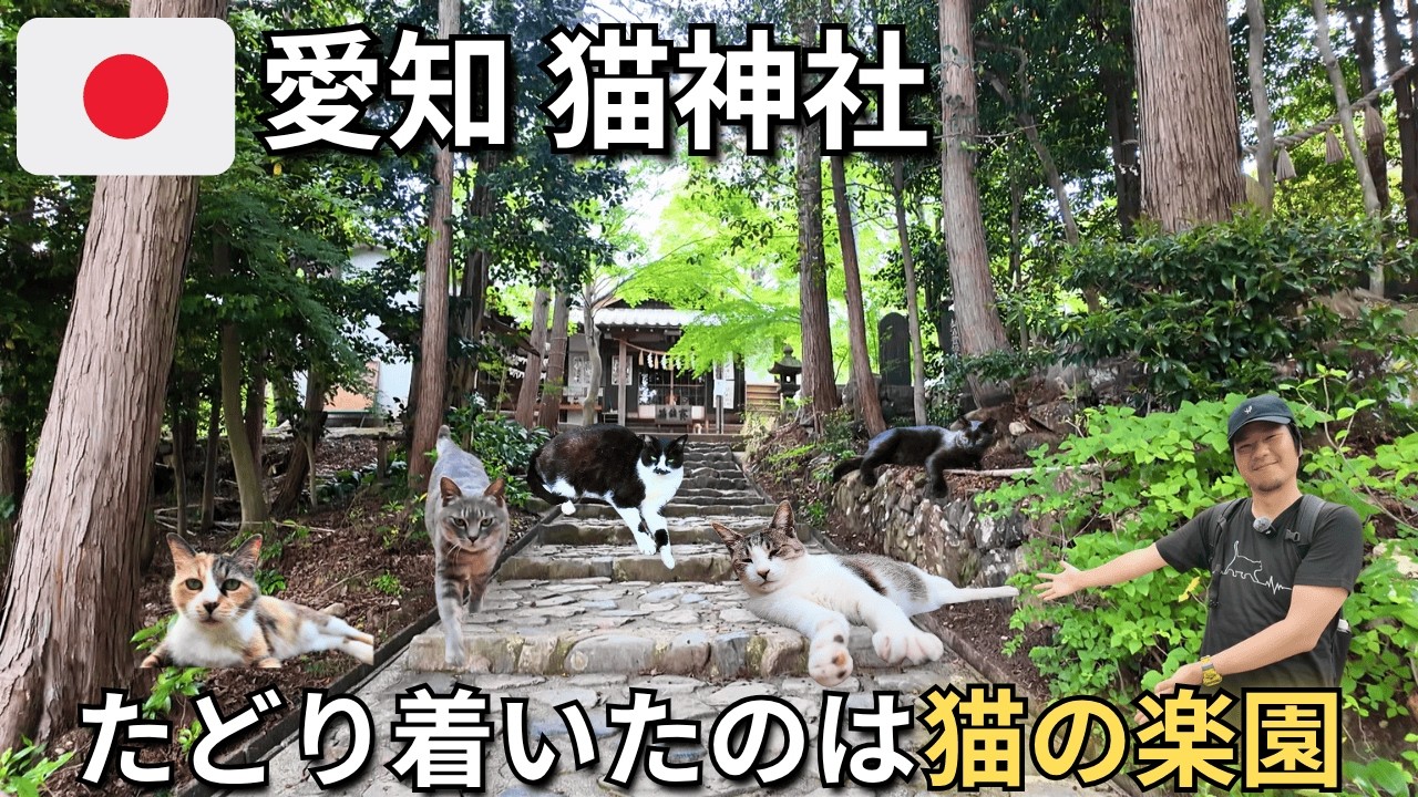 Кошачий Храм Айти 🐈⛩️ Поезд и Поход в Рай! 🏞️