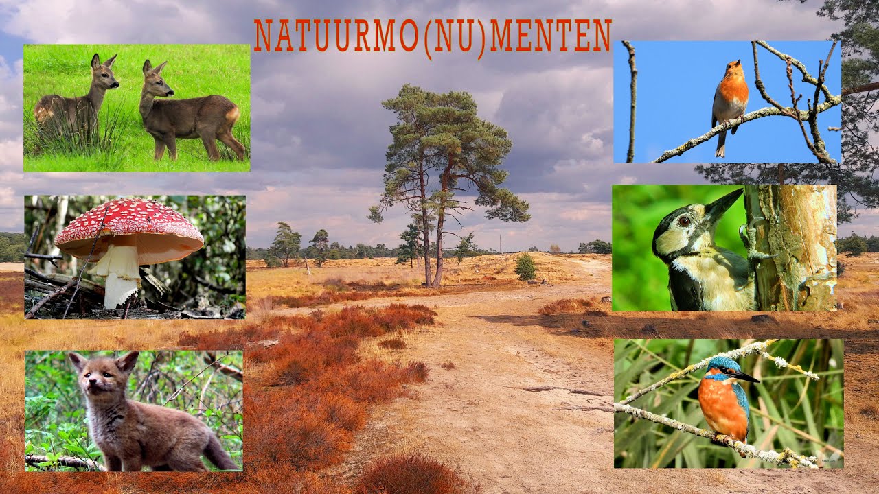 moments in nature