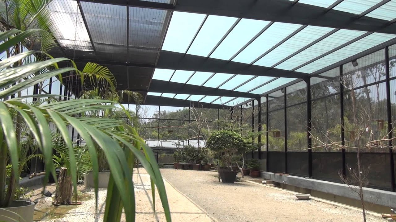 Birds Paradise in Kechara Forest Retreat
