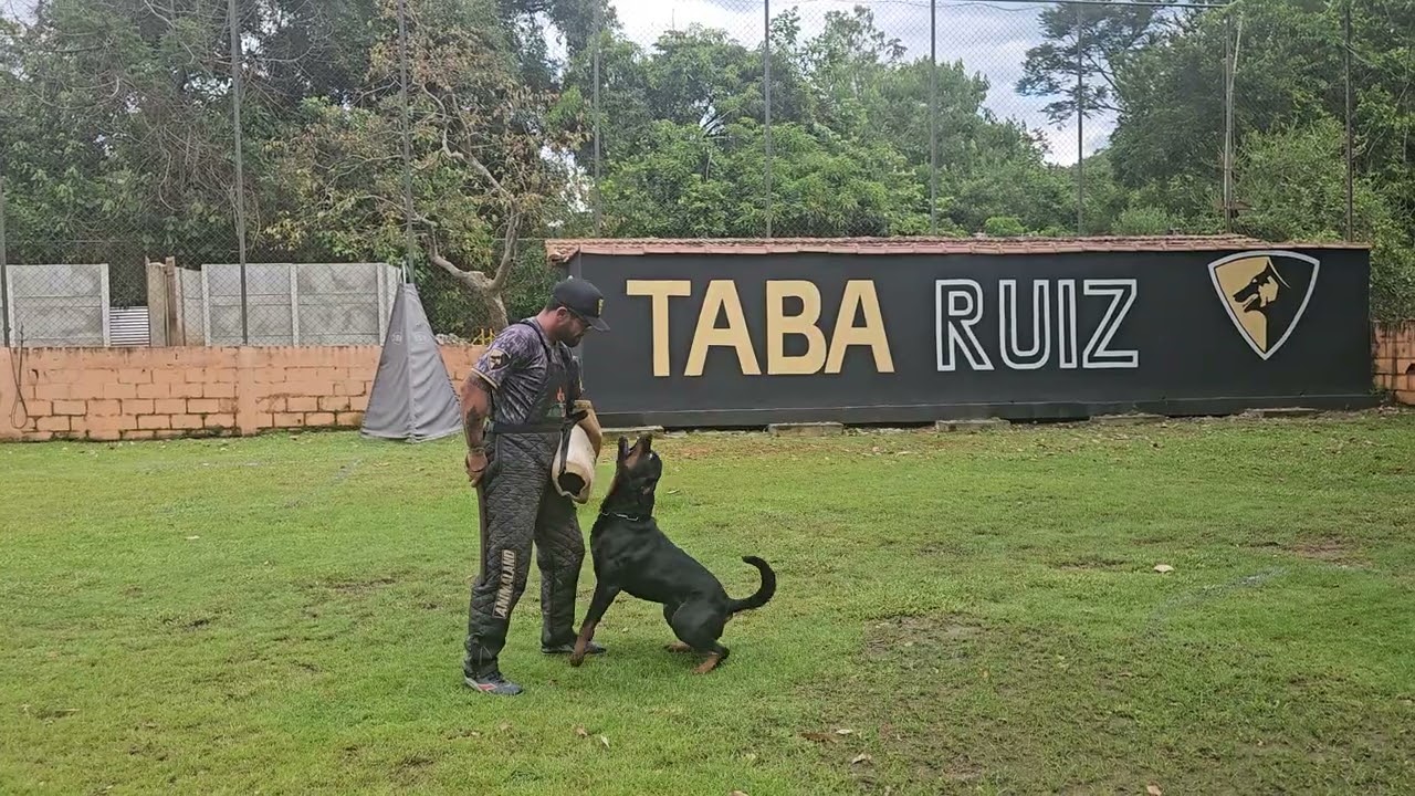 Proteção Nolan Cia Rott- IGP 1- 91 pontos