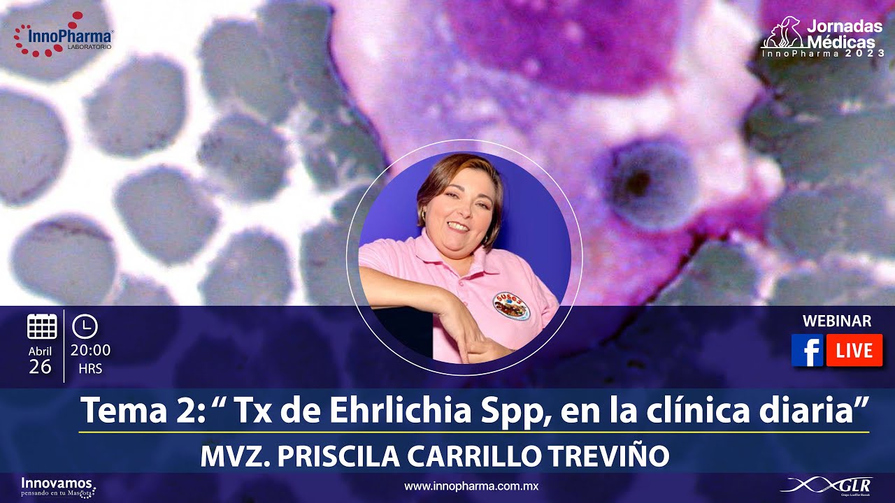 Webinar:  “ Tx de Ehrlichia Spp, en la clínica diaria”