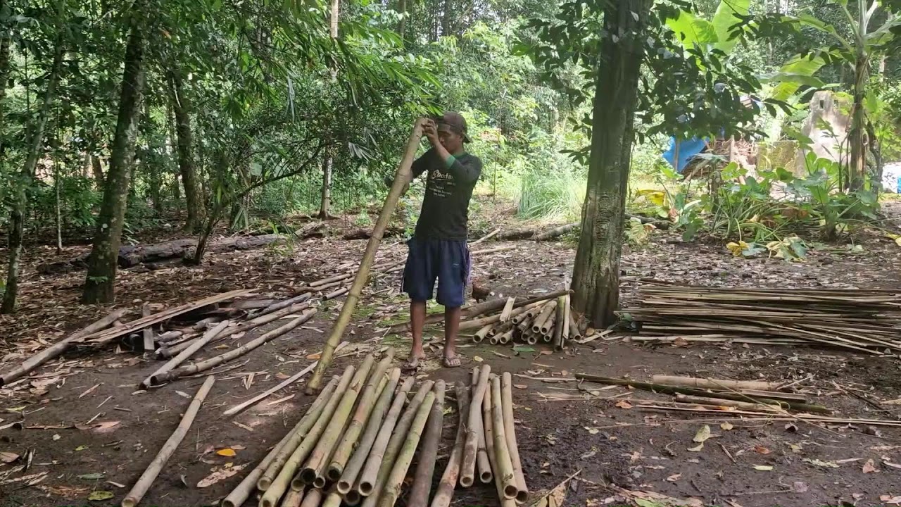 SMART TECHNIQUE TO SPLIT BAMBOO EASILY AND FAST WITH A SUPER STRONG TOOL - Agriculture Farming