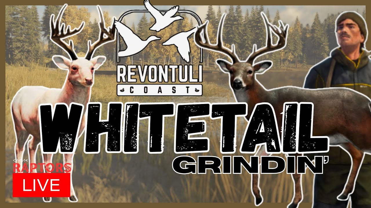 LIVE Whitetail Grinding!  theHunter: Call of the Wild