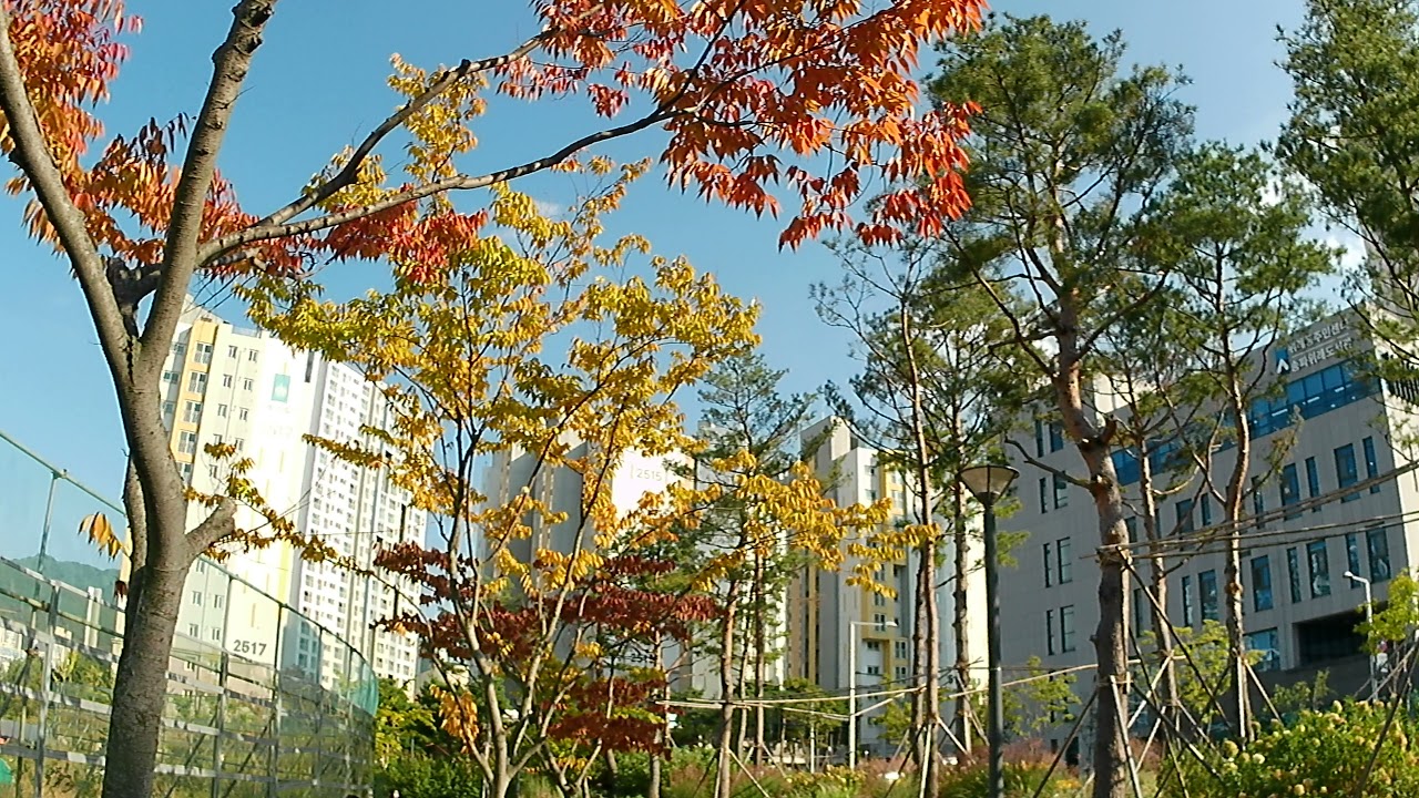 [#트리퍼액션캠] 액션캠 미리보기! 산책4K 60프레임