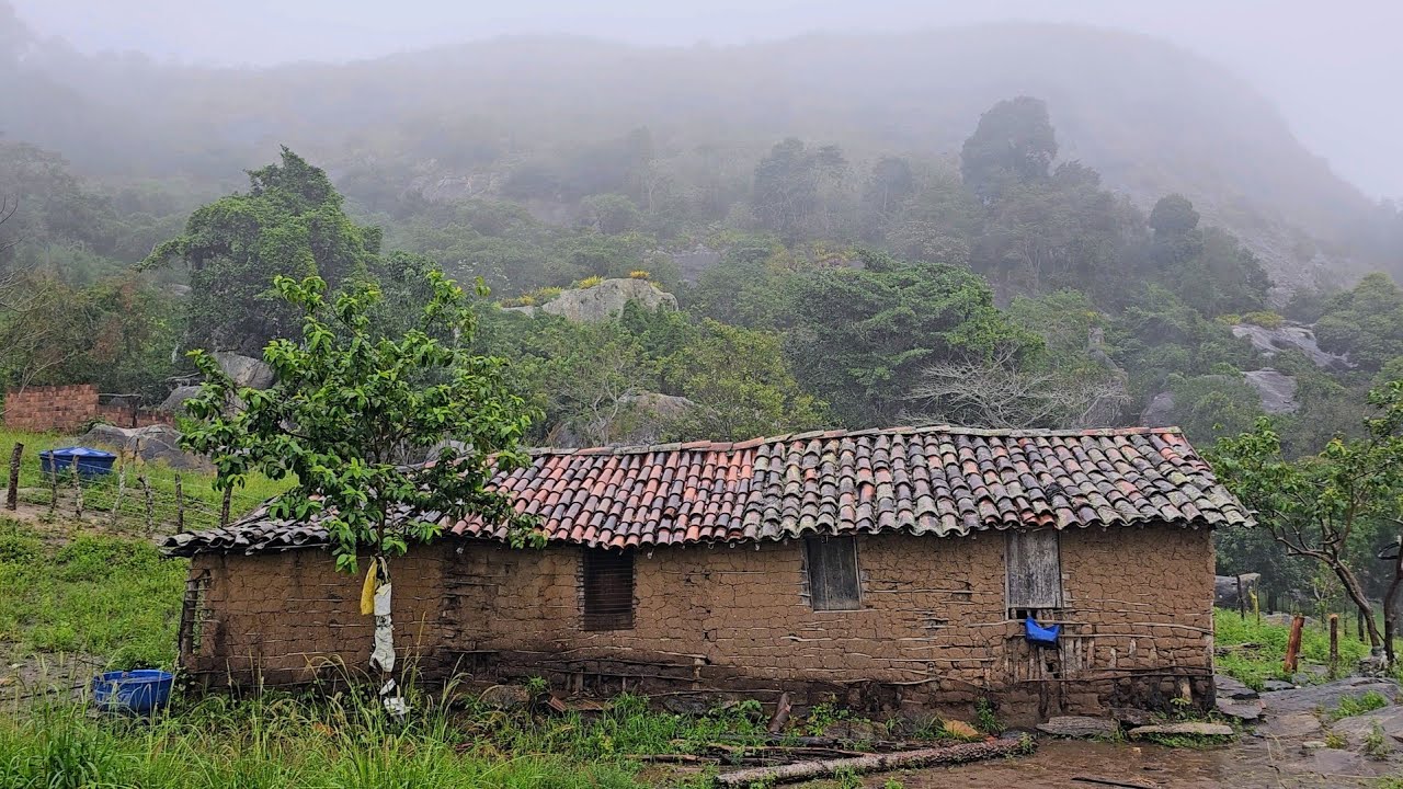 Chuva forte temporal muita chuva nessa casinha de taipa no pé da serra ⛈️ 