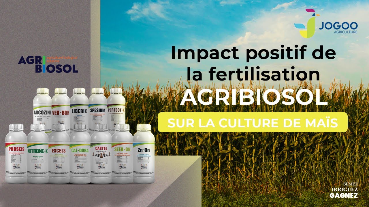 Le Secret des Agriculteurs R&eacute;v&eacute;l&eacute; : AgriBiosol pour un Ma&iuml;s &Eacute;poustouflant !
