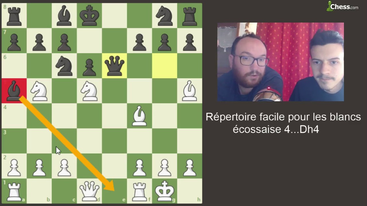 Répertoire Blanc: écossaise 4... Dh4