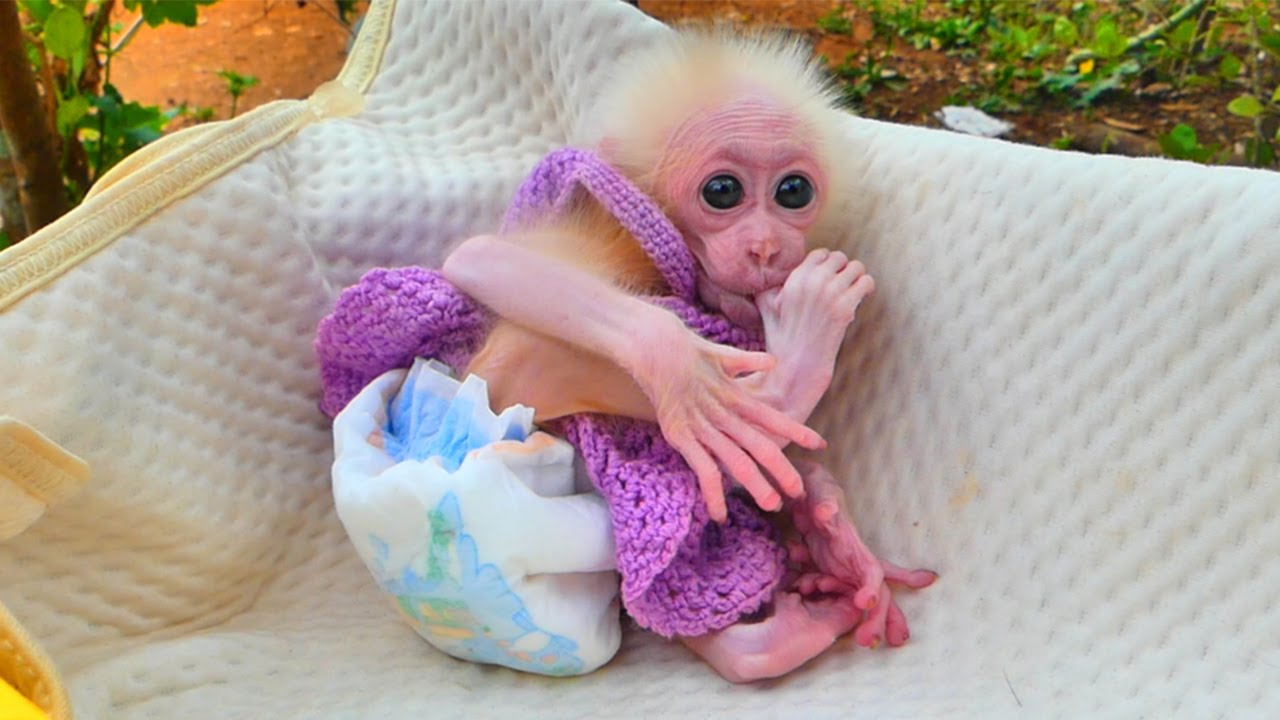 Kira looked happy ! Mommy Think about Health and Growth Essentials for Kira