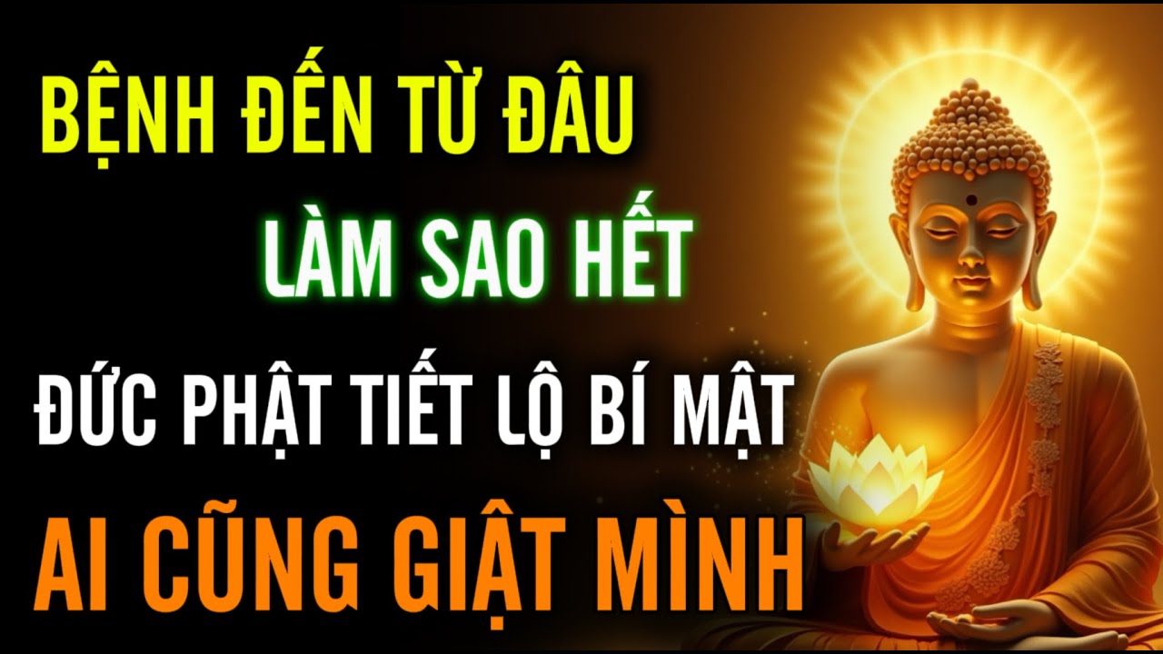 Bệnh Đến Từ Đâu, Làm Sao Hết - Đức Phật Tiết Lộ Bí Mật | Khiến Ai Cũng Giật Mình