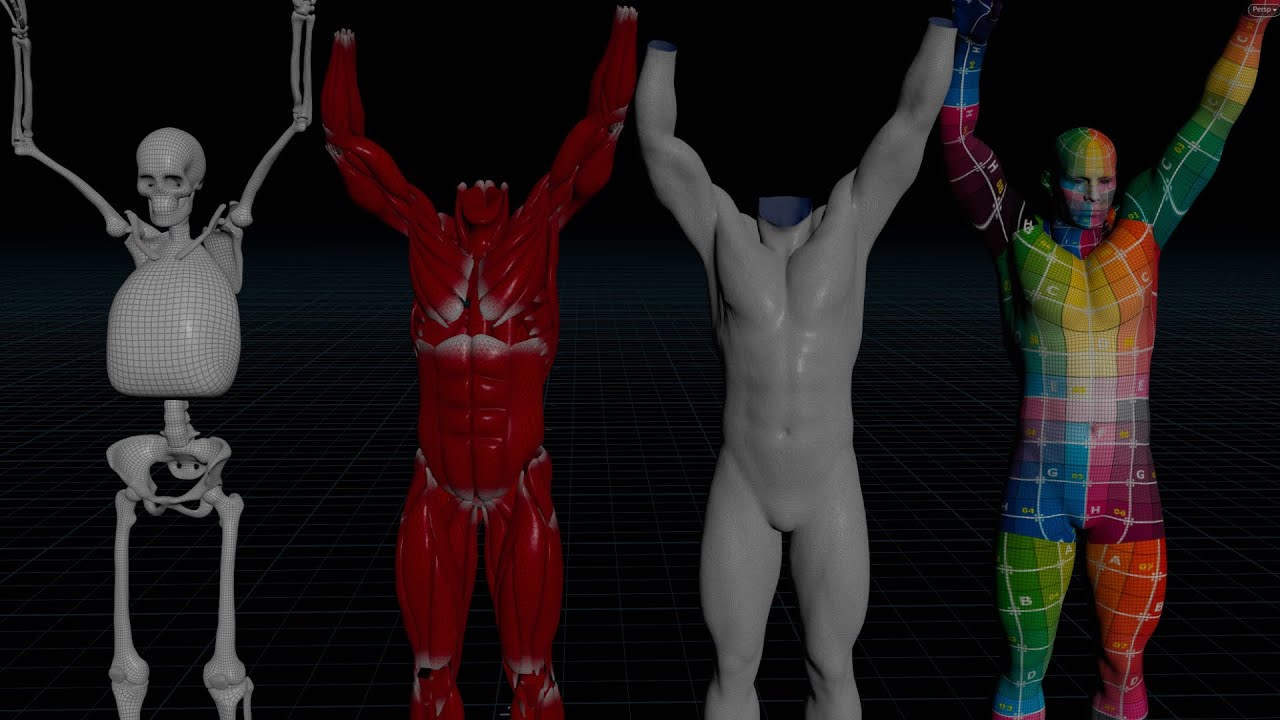 Houdini Man muscle dynamics