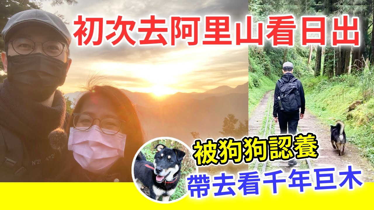 【移民台灣生活】結婚10周年阿里山之旅，第一次去就看到日出！被狗狗認養，帶我們去看千年巨木 (含少量合作)｜貓奴與寵物移民紀錄 