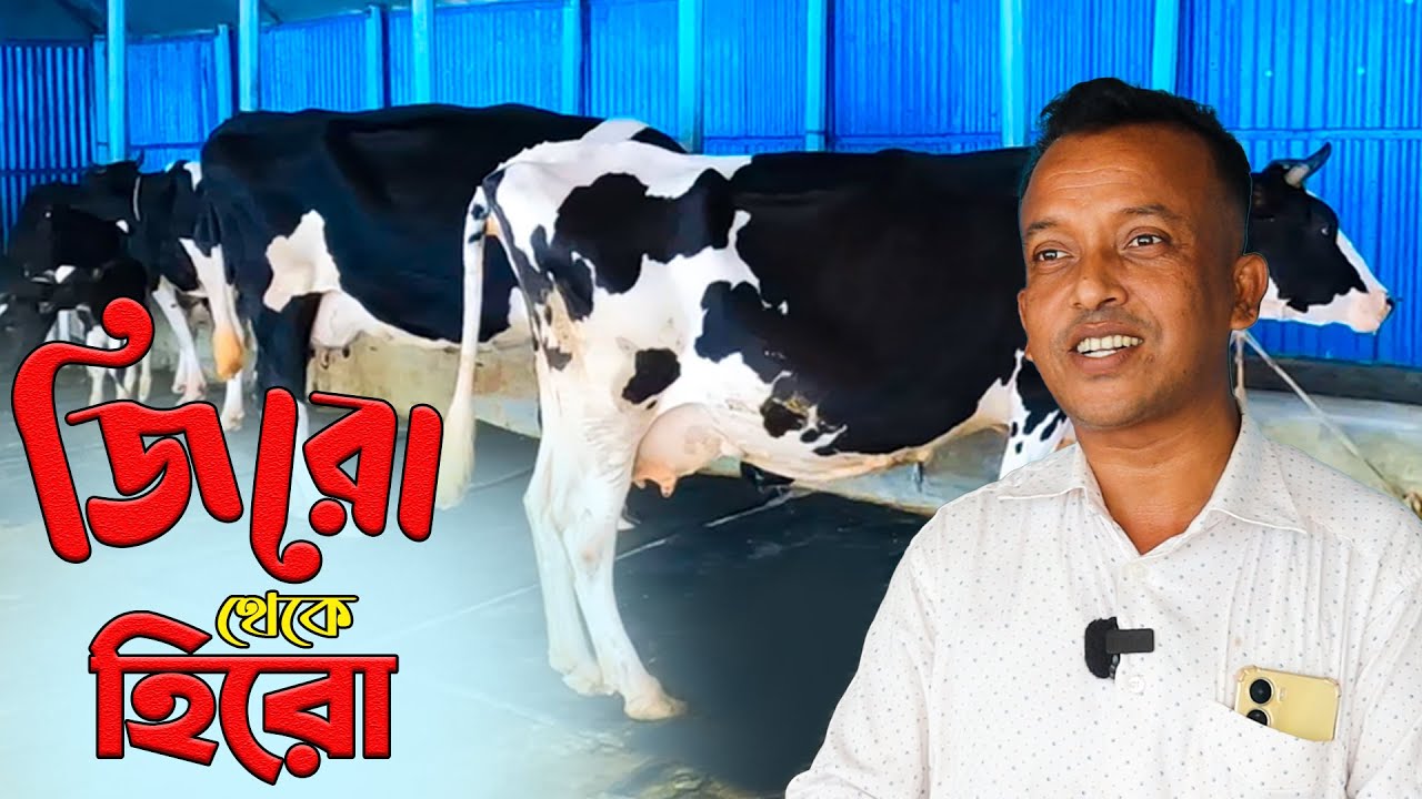 শূন্য থেকে কর্মজীবনে সফল উদ্যোক্তা সোবাহান - যত্ন করলে রত্ন মিলবে গাভী পালনে | Cow Farm Bangladesh