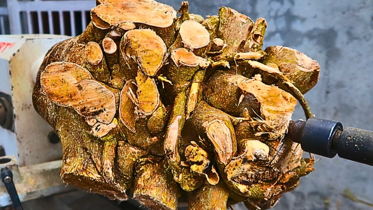 bonWoodworking = Unique tree stumps,g 4