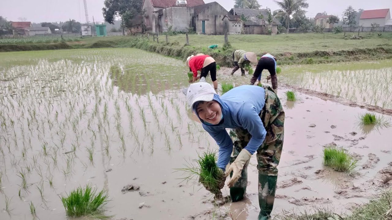 140 - Đi cấy bà con ơi 😁 #vlog #hoahana2025 