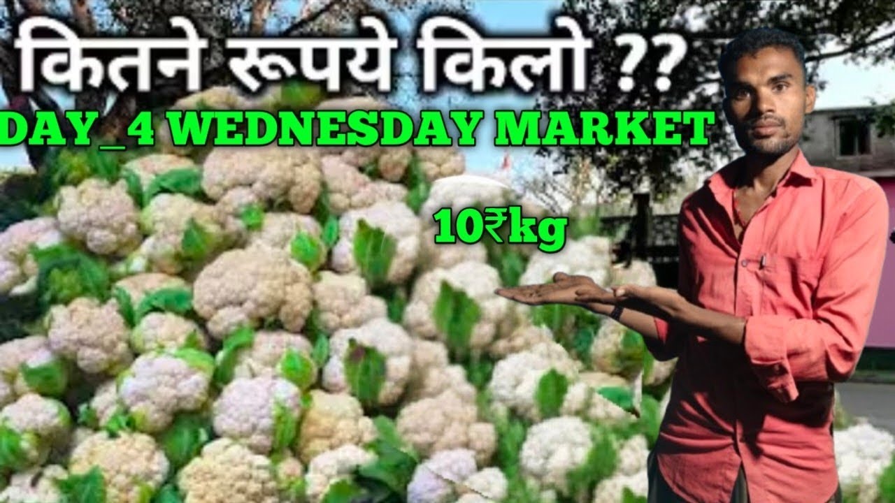आज मैंने मार्केट से खरीदा _2700₹ की देशी सब्जियां और सेल किया मैंने _20₹ में देखिए इतनी ज्यादा कमाई!