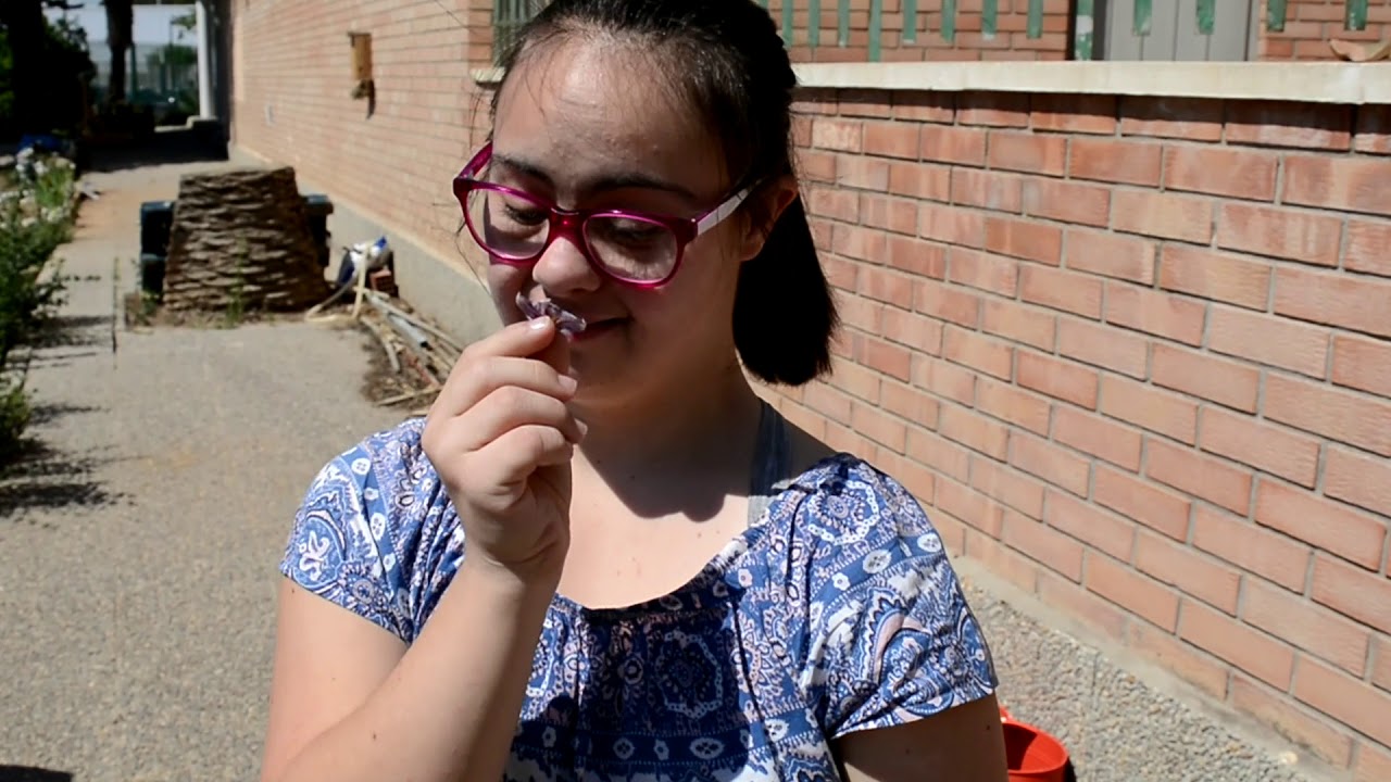 DÍA DEL MEDIOAMBIENTE