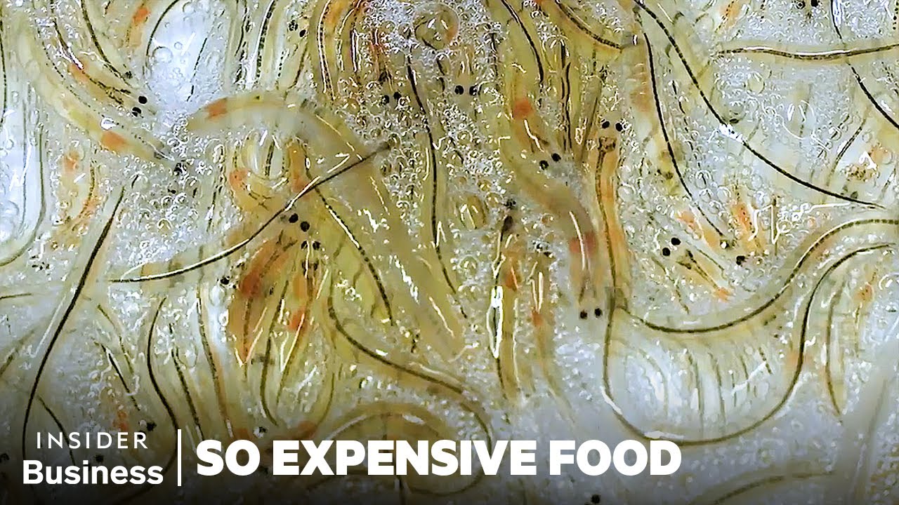Why Spanish Glass Eels (Angulas) Are So Expensive | So Expensive Food | Insider Business