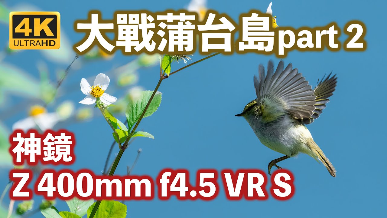Nikon Z 400mm f/4.5 與我 Nikon Z9 大戰蒲台島 part 2 + Z TC x1.4