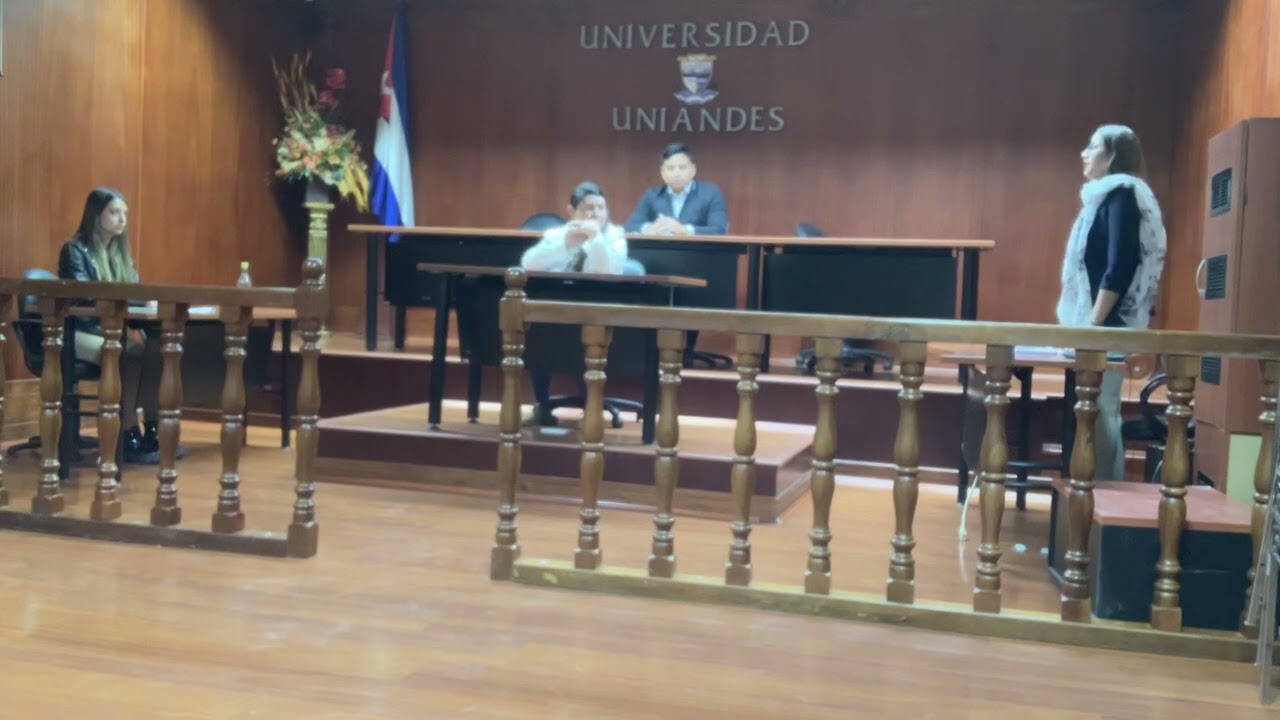 AUDIENCIA FORMULACIÓN DE CARGOS (SIMULACIÓN DE SECUESTRO)