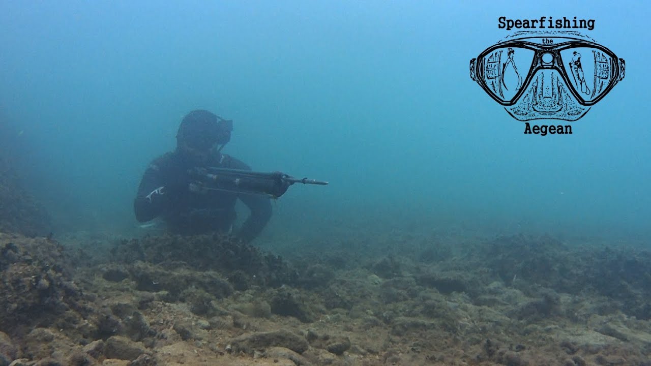 Shallow Spearfishing | The First Big Sea Bass of the Winter | Spearfishing the Aegean 🇬🇷 ✔