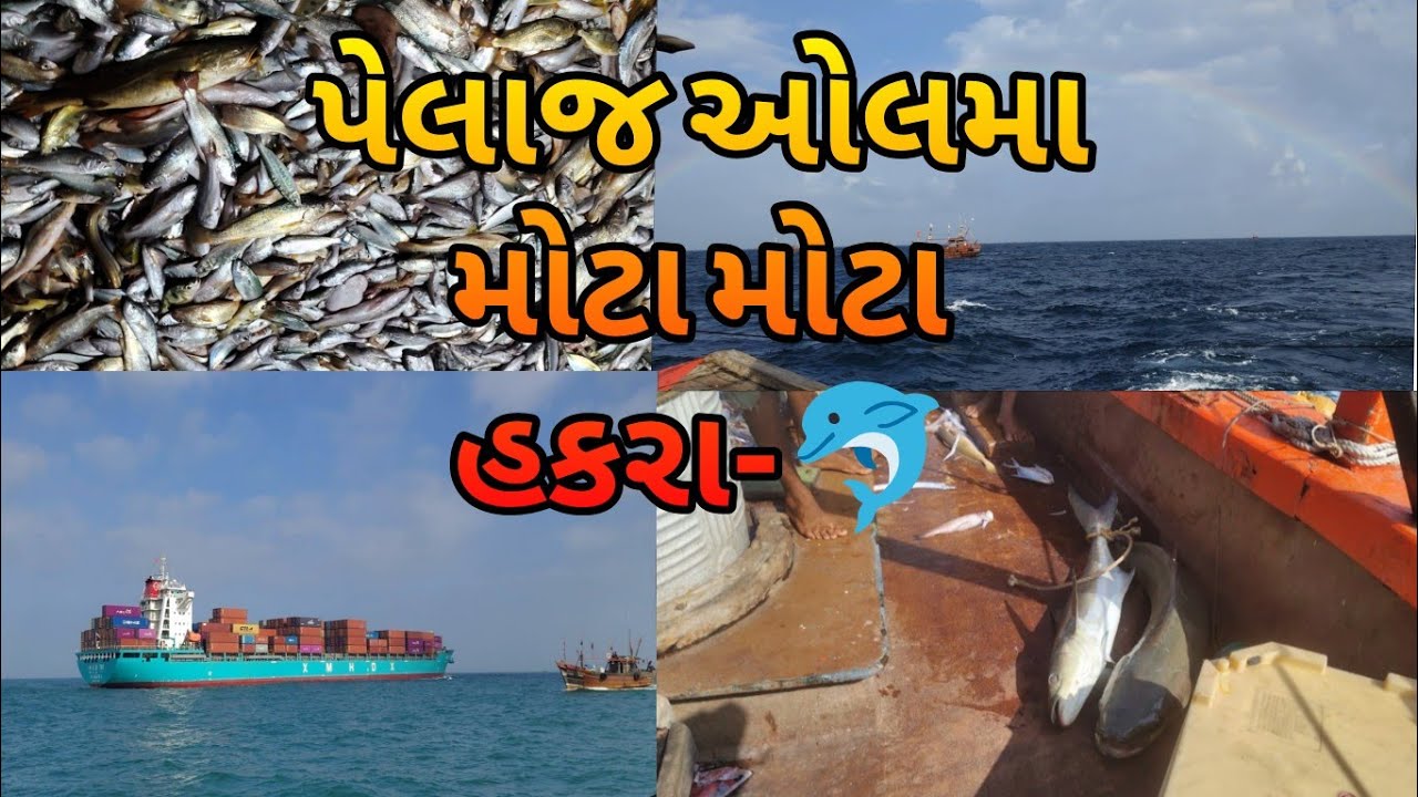 પેલાજ ઓલમાં મોટા મોટા હકરા#vlog #samudr #okha 