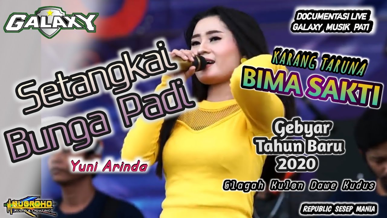 SETANGKAI BUNGA PADI - GALAXY - BIMA SAKTI 2020