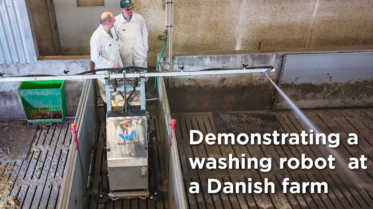 Demonstrating the use of X100 washing robot at a Danish pig farm