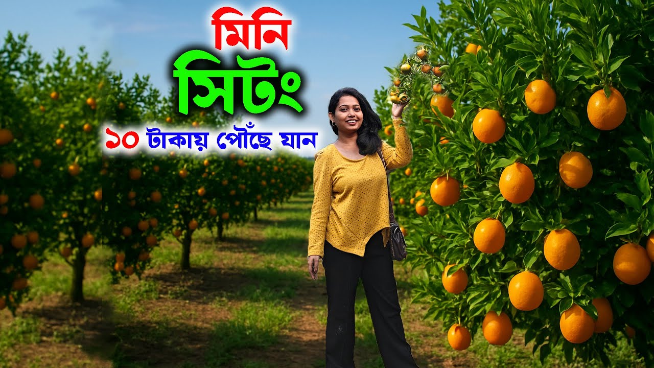 কলকাতা থেকে ১ ঘণ্টায় ঘুরতে যাওয়ার নতুন ঠিকানা | New Place To Visit Near Kolkata | Weekend tour