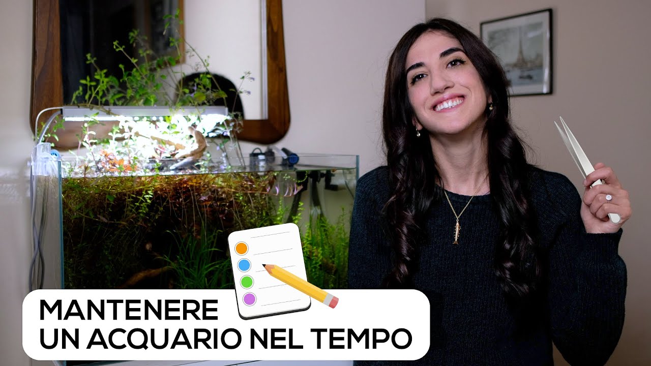 TUTTE le cose da FARE per MANTENERE un ACQUARIO