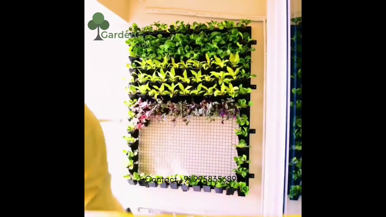 Natural Vertical Garden Installation | Natural Green Wall Design | Green Wall Ideas #viral #delhincr