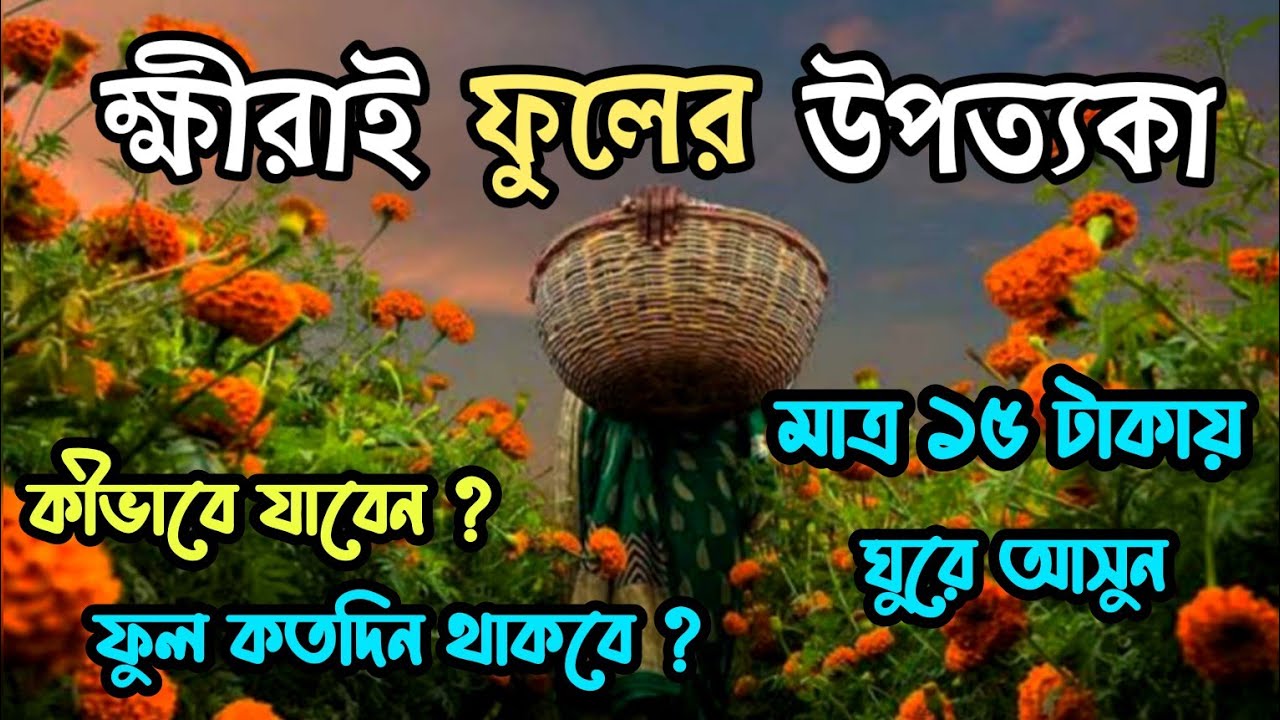 Khirai Flower Garden 2024 | Khirai Valley Of Flowers | Khirai One Day Trip From Kolkata | khirai