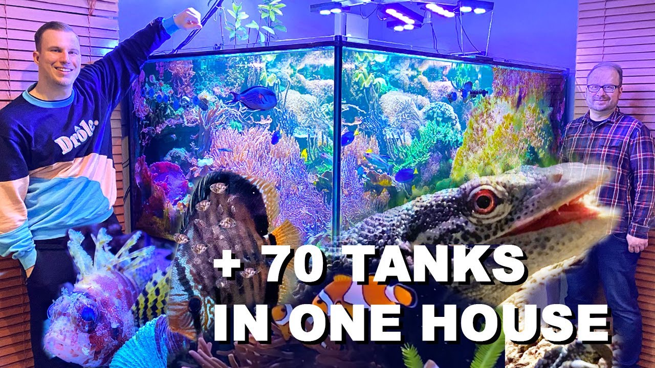 HOUSE TOUR - *private aquariums* with luxury animals + REEF TANK UPDATE -  unique!