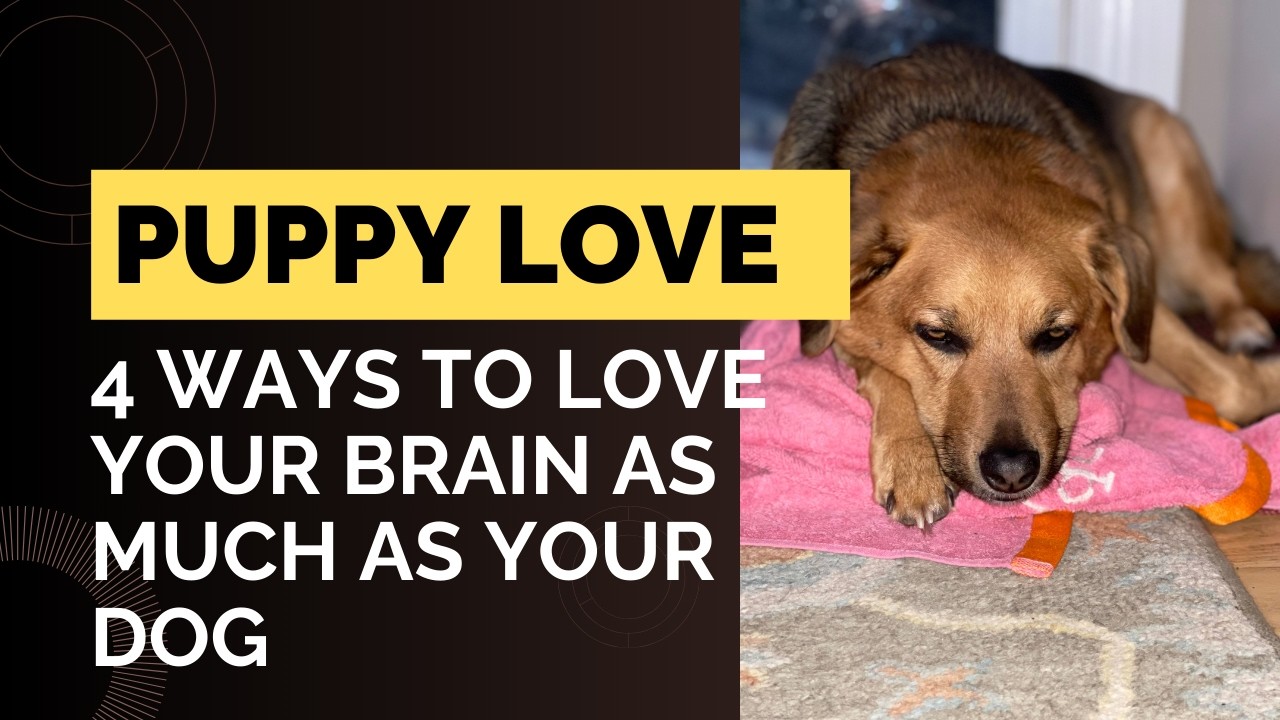 Puppy Love, How to Love your Brain to put it into solution mode during dangerous times.