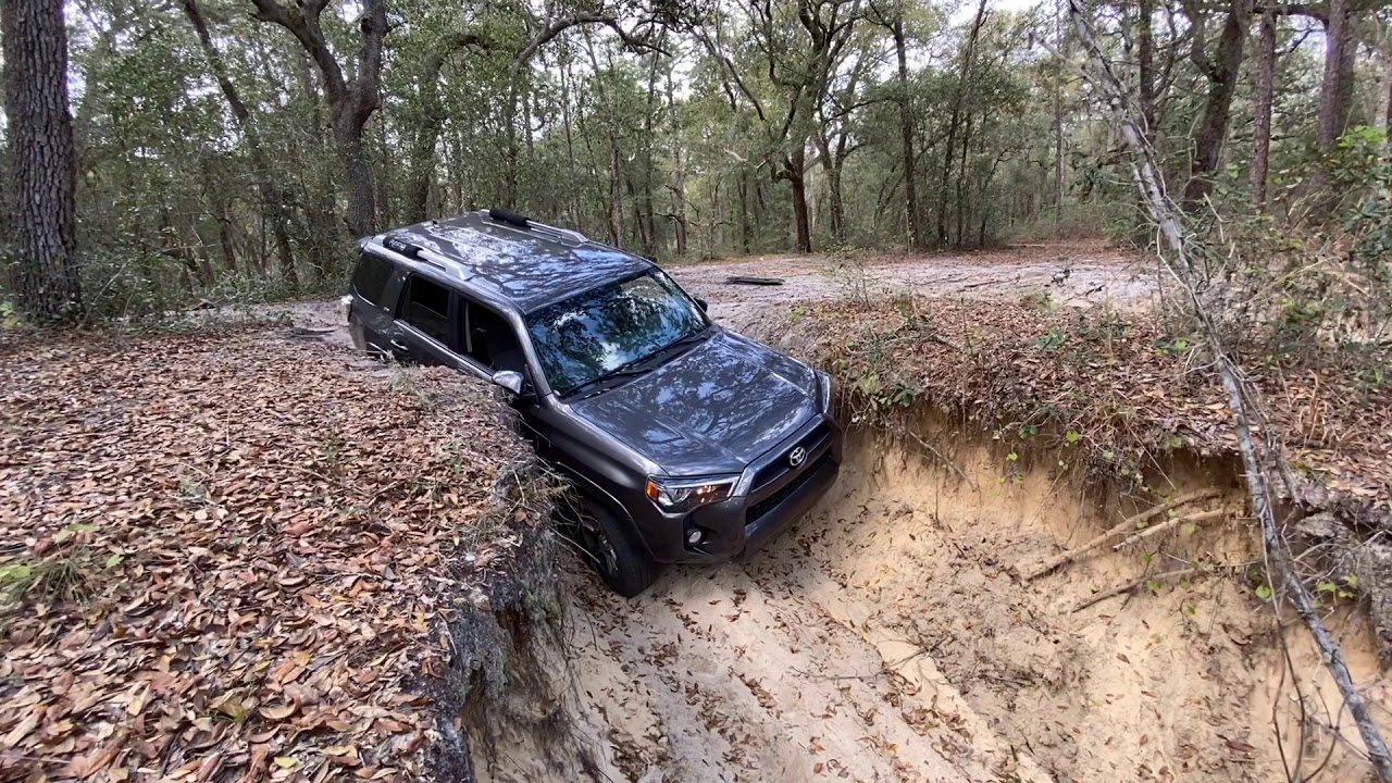 Hidden Sand Hills of Ocala | 4x4 Toyota 4Runner SR5 | Off-road to Silver Glen Springs
